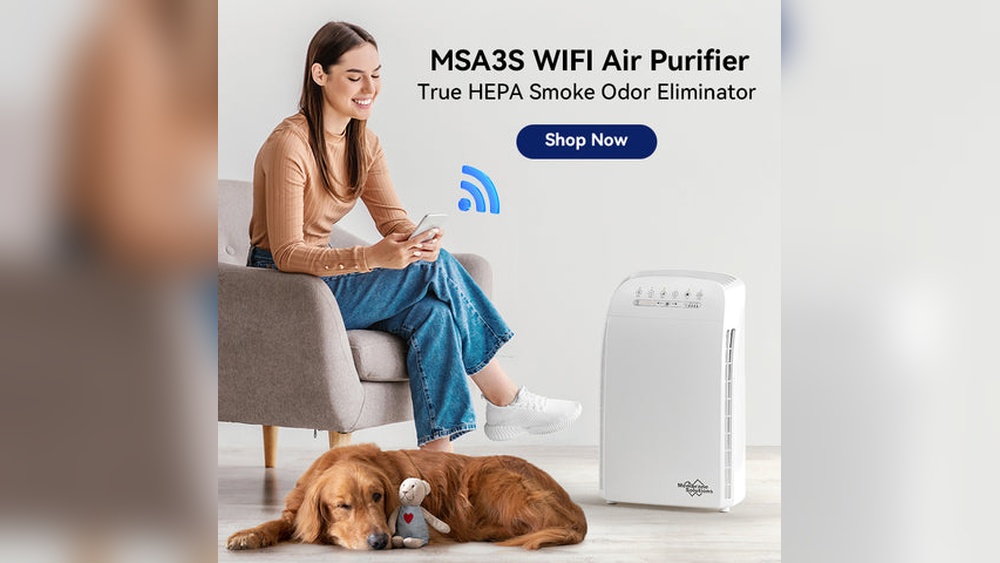 Are You Supposed to Leave Air Purifier on All the Time