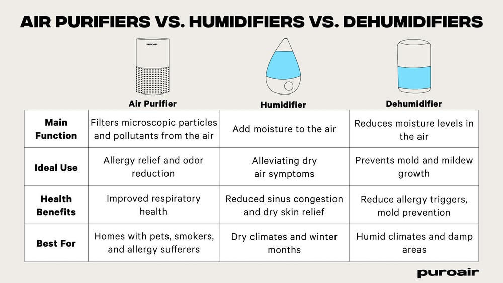 Should I Get an Air Purifier Or Humidifier for Allergies